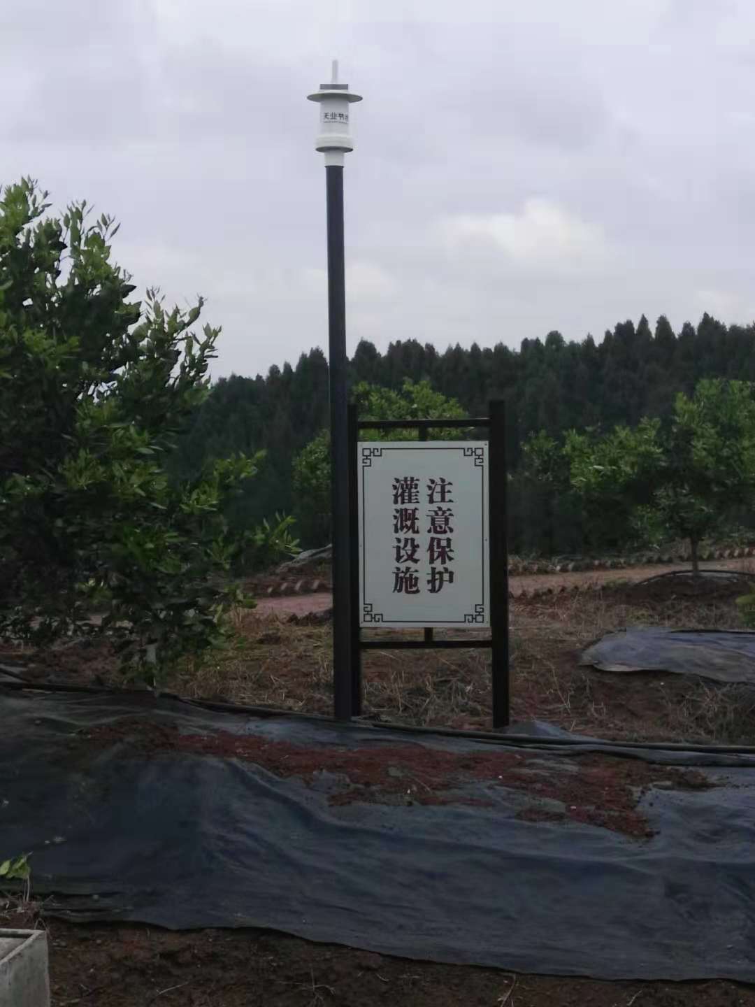 北京凤凰娱乐，土壤监测系统